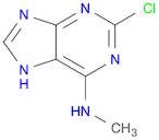 2-Chloro-6(methylamino)purine