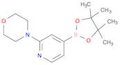 2-Morpholinopyridine-4-boronic acid, pinacol ester