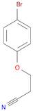 3-(4-Bromophenoxy)propanenitrile