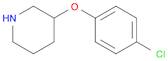 3-(4-CHLOROPHENOXY)PIPERIDINE