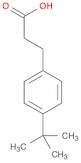 3-(4-(tert-Butyl)phenyl)propanoic acid