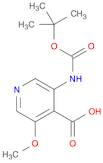 3-(tert-Butoxycarbonylamino)-5-methoxyisonicotinic acid AldrichCPR