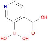 3-Boronoisonicotinic acid