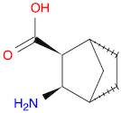 3-exo-Aminobicyclo[2.2.1]heptane-2-carboxylic acid