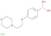 4-(2-Morpholinoethoxy)phenylboronic acid, HCl