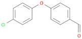 4-(4-Chlorophenoxy)benzaldehyde