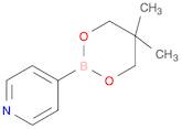 4-(5,5-Dimethyl-1,3,2-dioxaborinan-2-yl)pyridine