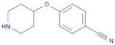 4-(Piperidin-4-yloxy)benzonitrile