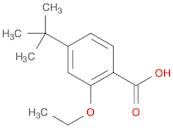 4-(t-Butyl)-2-Ethoxy Benzoic Acid