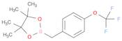 4,4,5,5-Tetramethyl-2-(4-(trifluoromethoxy)benzyl)-1,3,2-dioxaborolane