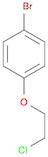 4-Bromophenyl 2-chloroethyl ether