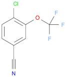 4-CHLORO-3-(TRIFLUOROMETHOXY)BENZONITRILE