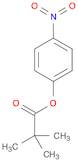 4-Nitrophenyl pivalate