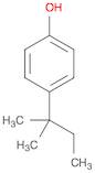 4-tert-Amylphenol