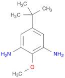 4-tert-Butyl-2,6-diaminoanisole