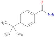 4-(tert-Butyl)benzamide