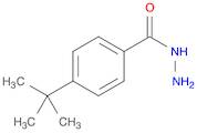 4-(tert-Butyl)benzohydrazide