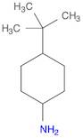 4-TERT-BUTYLCYCLOHEXYLAMINE