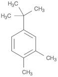 4-TERT-BUTYL-O-XYLENE