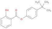 SALICYLIC ACID 4-TERT-BUTYLPHENYL ESTER