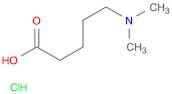 5-(DIMETHYLAMINO)-PENTANOIC ACID HYDROCHLORIDE