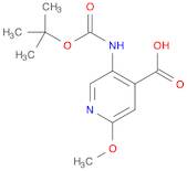 5-(TERT-BUTOXYCARBONYLAMINO)-2-METHOXYPYRIDINE-4-CARBOXYLIC ACID