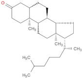 (5S,8R,9S,10S,13R,14S,17R)-10,13-Dimethyl-17-((R)-6-methylheptan-2-yl)tetradecahydro-1H-cyclopenta…