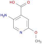 5-Amino-2-methoxyisonicotinic acid