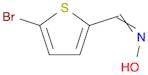 5-Bromothiophene-2-carbaldehyde oxime