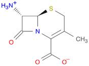 (6R,7S)-7-AMINO-3-METHYL-8-OXO-5-THIA-1-AZABICYCLO[4.2.0]OCT-2-ENE-2-CARBOXYLIC ACID