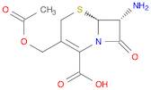 7-Aminocephalosporanic acid