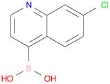 7-Chloroquinoline-4-boronic acid