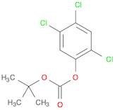 CARBONIC ACID TERT-BUTYL 2,4,5-TRICHLOROPHENYL ESTER