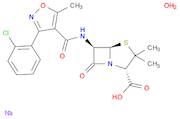 Cloxacillin sodium monohydrate