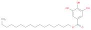 Hexadecyl 3,4,5-trihydroxybenzoate