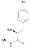 (S)-2-Amino-3-(4-hydroxyphenyl)propanehydrazide