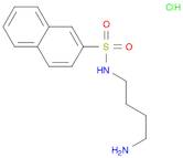 N-(4-Aminobutyl)-2-naphthalenesulfonamide Hydrochloride