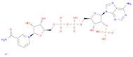 NADP monopotassium salt, ca