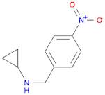 _x005F_x000D_N-Cyclopropyl-4-nitrobenzylamine