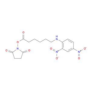 N-SUCCINIMIDYL 6-(2,4-DINITROANILINO)HEXANOATE