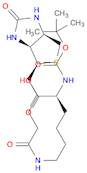 BOC-BIOCYTIN