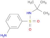 3-Amino-N-(tert-butyl)benzenesulfonamide