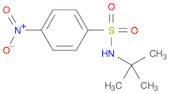 N-tert-Butyl 4-Nitrophenylsulfonamide