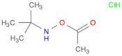 O-Acetyl-N-(tert-butyl)hydroxylamine hydrochloride