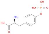 O-PHOSPHO-L-TYROSINE