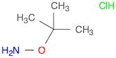 O-TERT-BUTYLHYDROXYLAMINE HYDROCHLORIDE