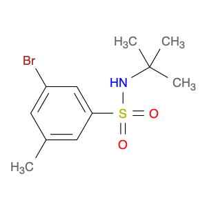 t-Butyl 3-BroMo-5-MethylbenzenesulfonaMide