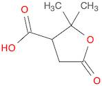 TEREBIC ACID