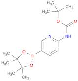 2-(tert-butoxycarbonylamino)pyridine-5-boronic acid, pinacol ester