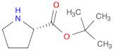 H-Pro-OtBu